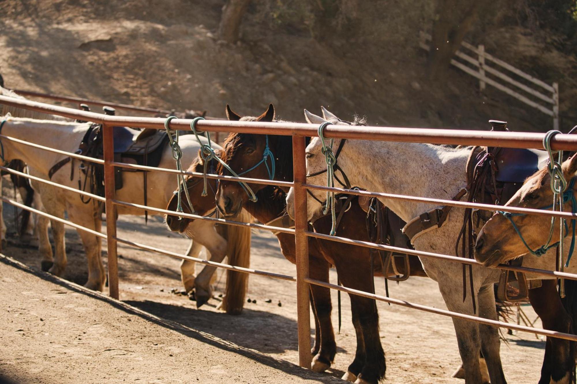 فندق Circle Bar B Guest Ranch Capitan المظهر الخارجي الصورة